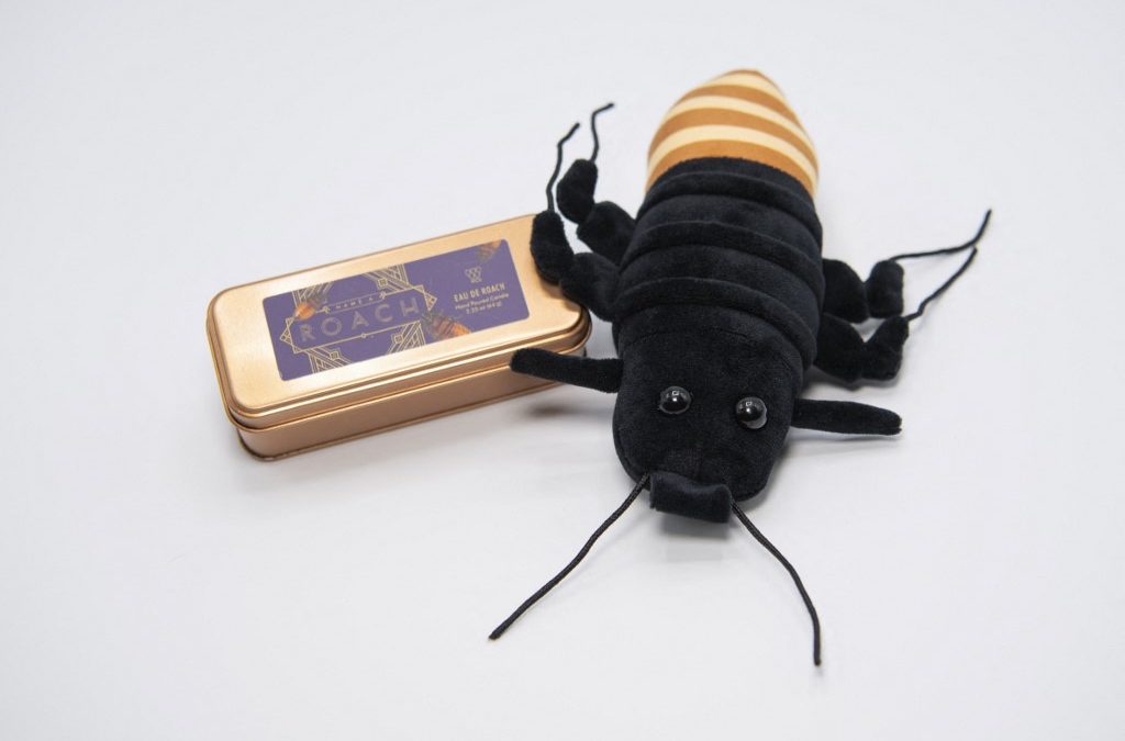 Para San Valentín, nada dice amor como una cucaracha de Madagascar
