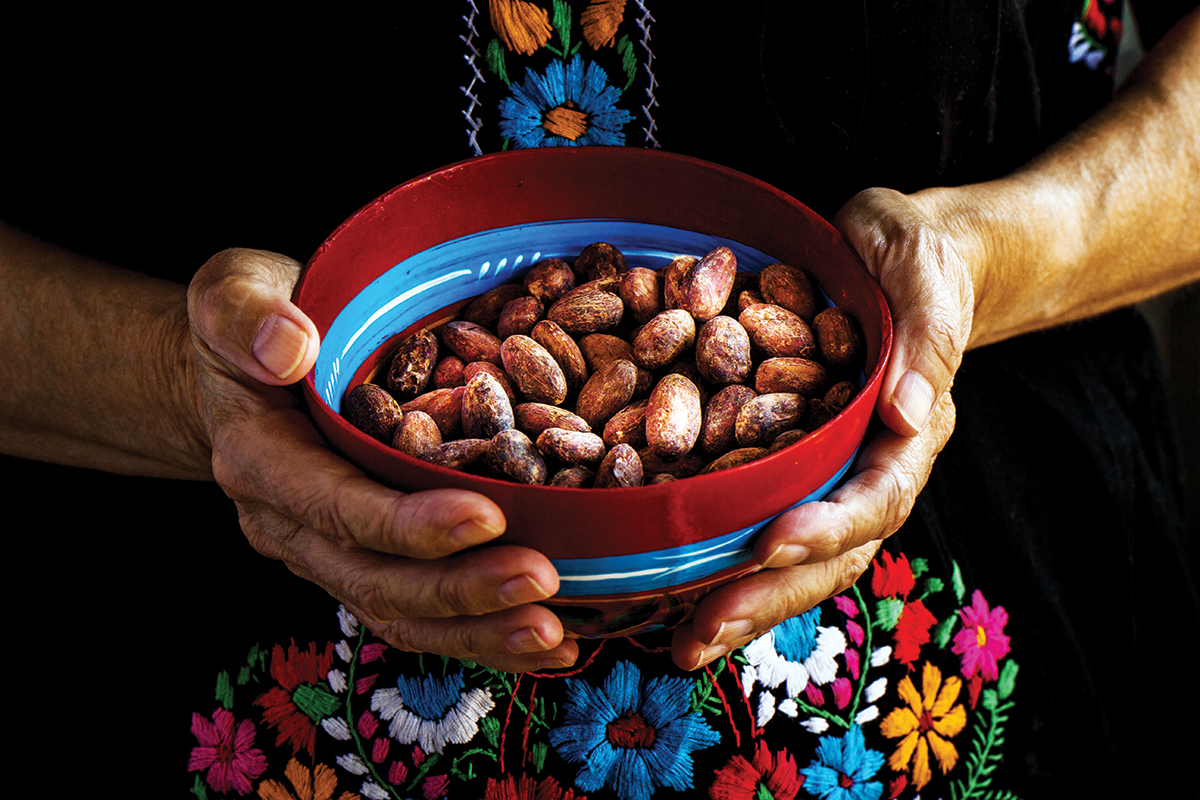 ¿Por qué el cacao mexicano está en crisis?
