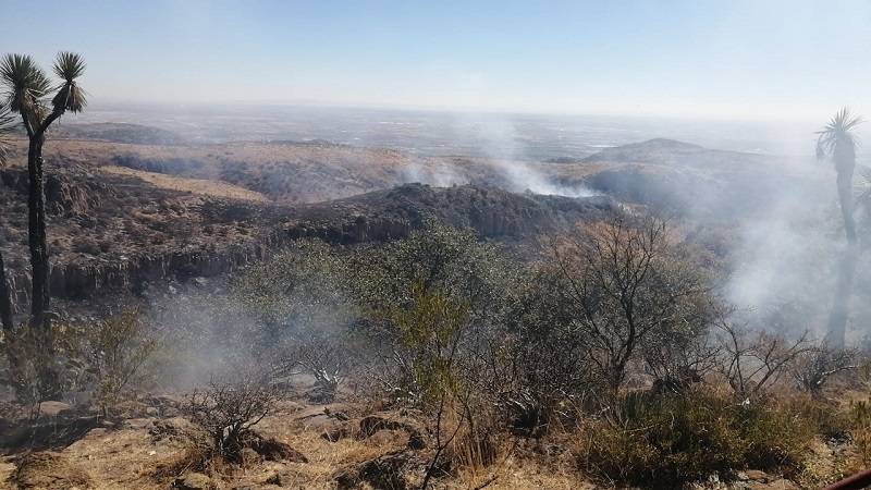 Tras dos días, sofocan incendio en Mesa de Pinos en Aguascalientes