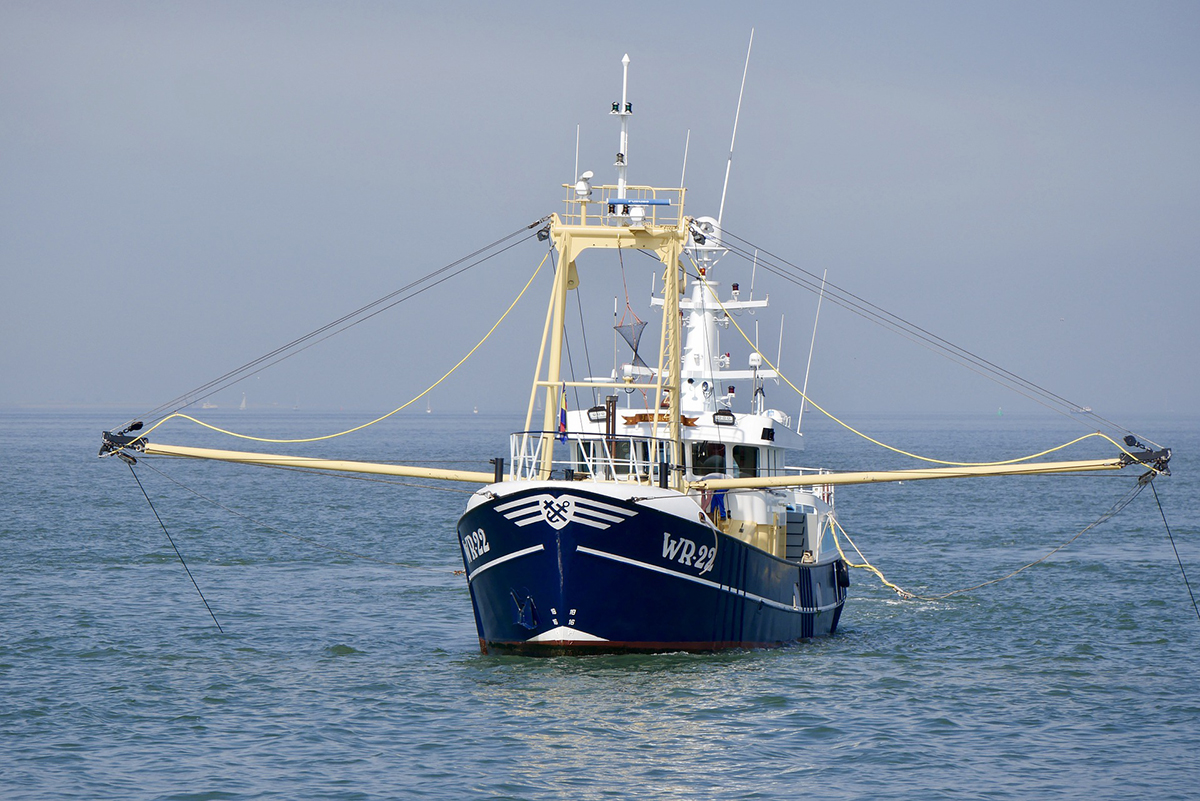 Pescadores llaman a crear conciencia ante el impacto de la pesca en la crisis climática
