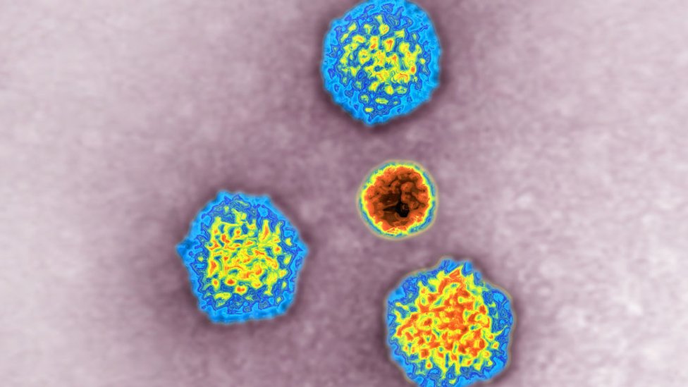 7 aspectos de los virus que mejoran nuestra vida