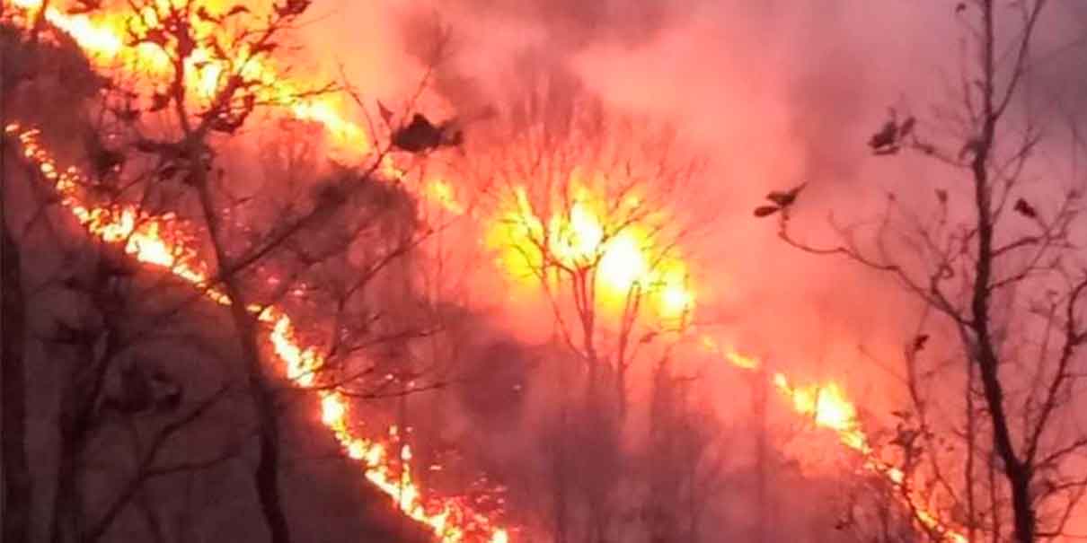 Incendio forestal en San Diego La Meza, Puebla cumplió cuatro días