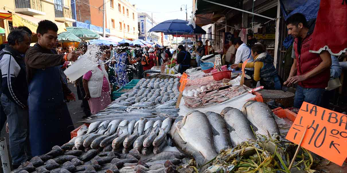 Pescaderías esperan resucitar jueves y viernes