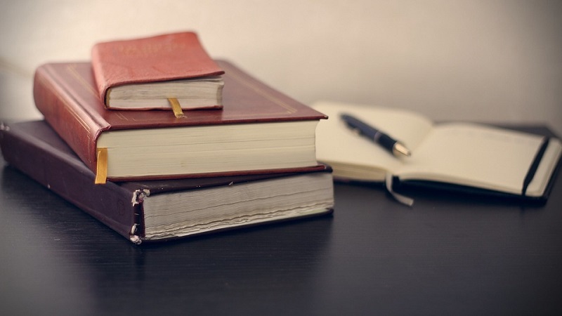 Mexicanos leen 3.7 libros al año: INEGI