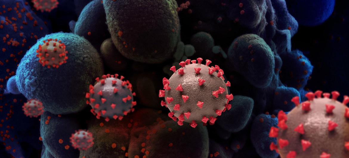 OMS prepara segunda fase de investigación para determinar cómo surgió el covid-19