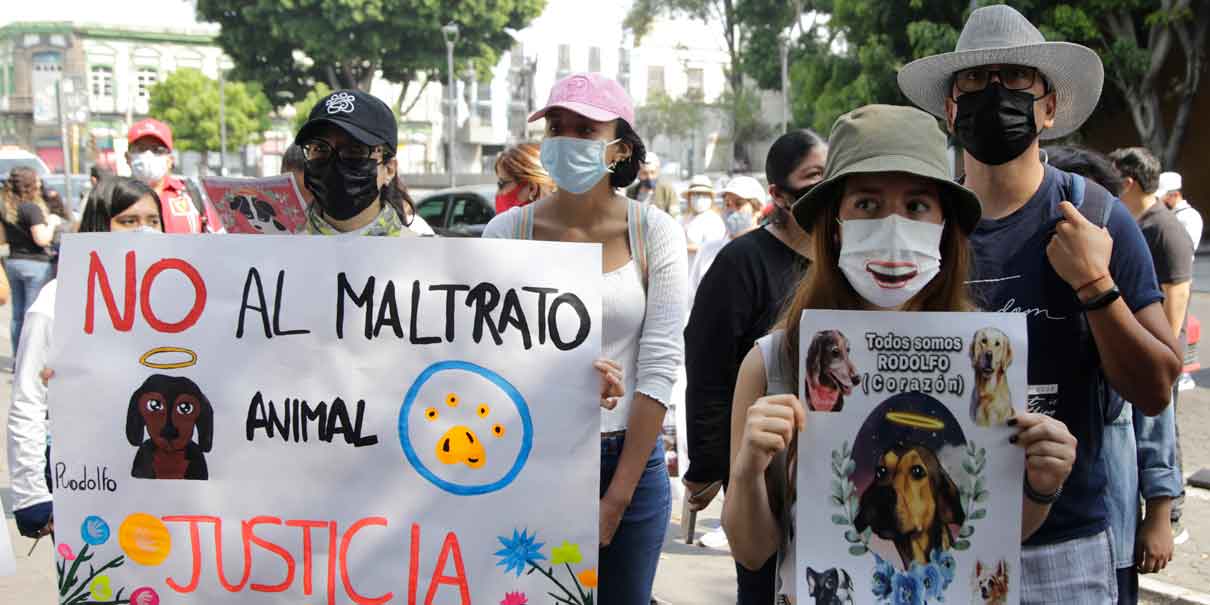 Marchan en Puebla defensores de animales; exigen pare el maltrato