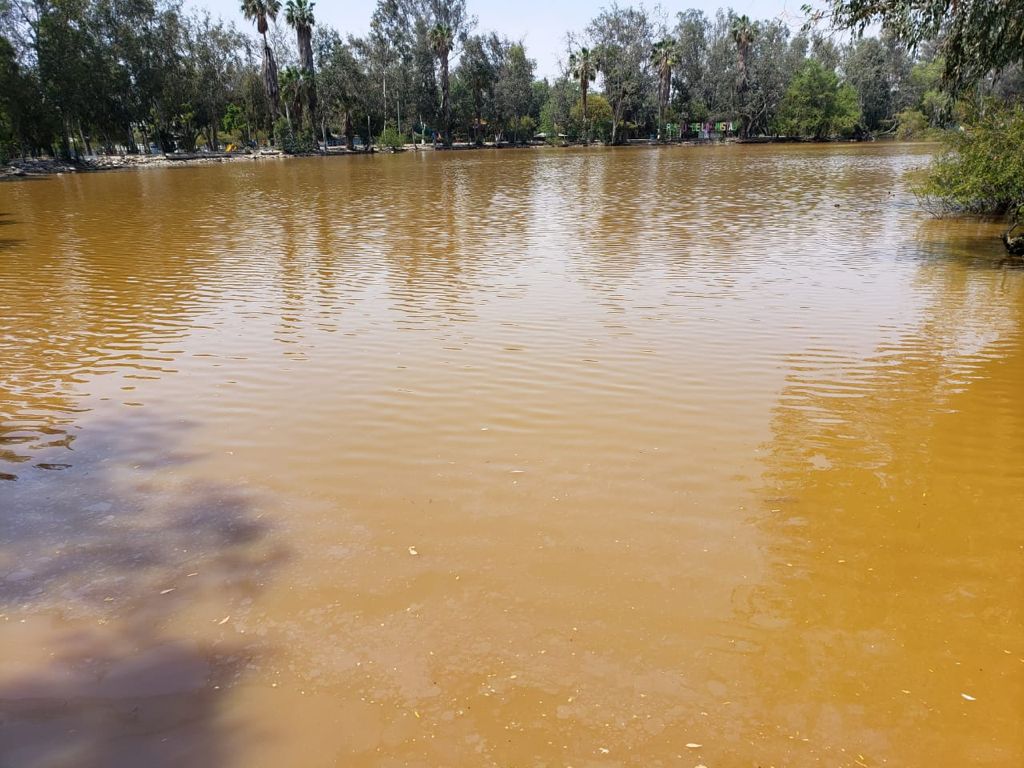 Denunciará CESPT a empresas que contaminaron lago de parque de La Amistad