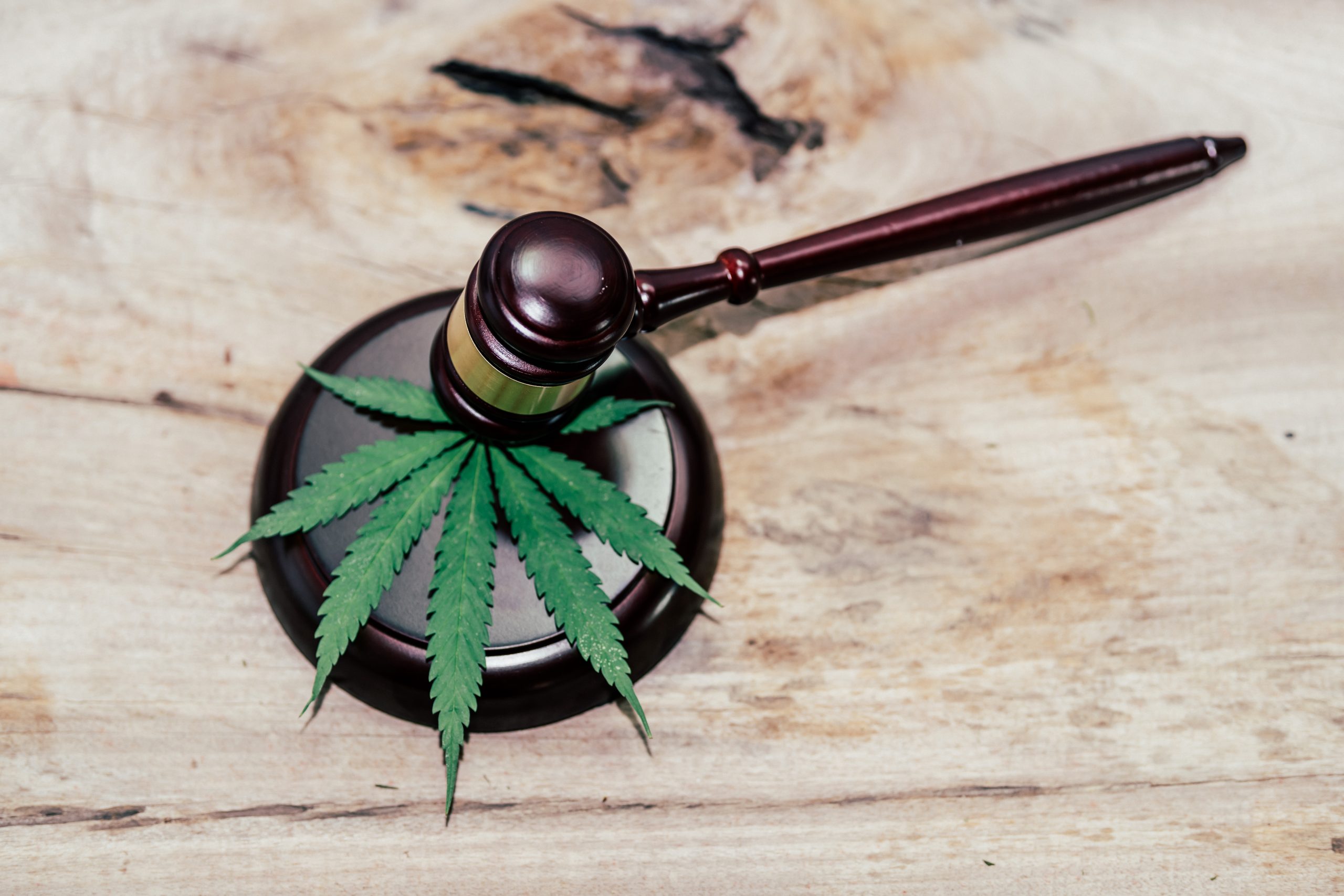 Suprema Corte de México legaliza el uso lúdico de la mariguana