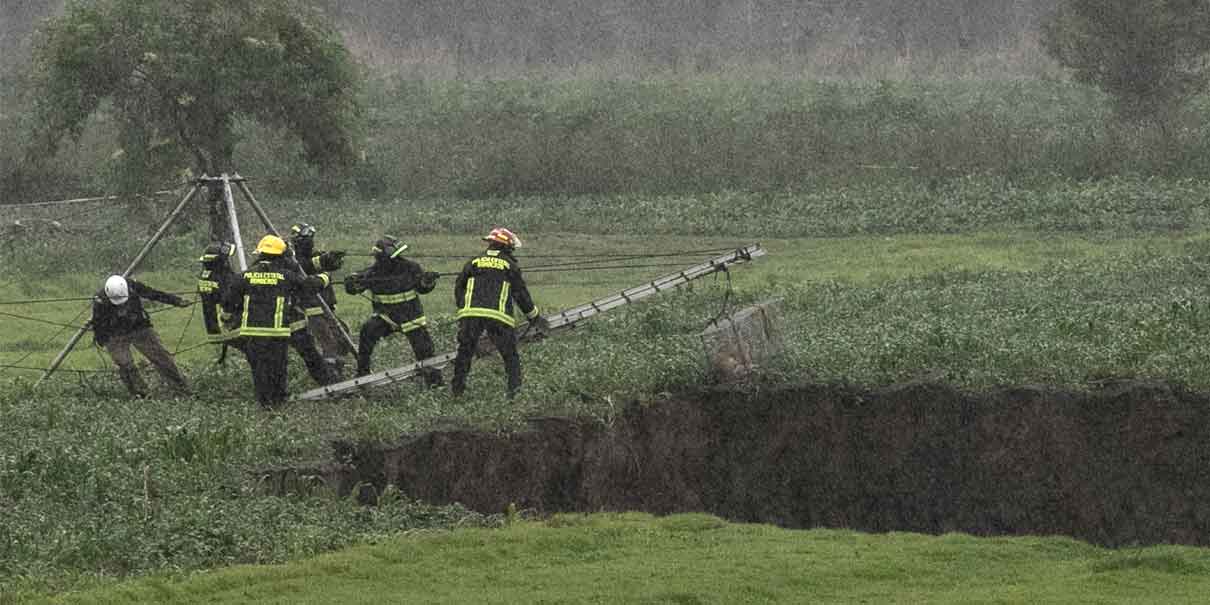 Los canes rescatados del socavón se recuperan del susto