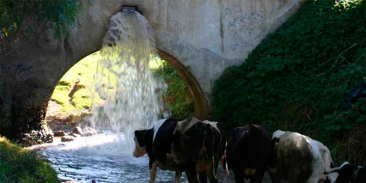 Pese a denuncias, Conagua ignora extracción ilegal de agua en Puebla