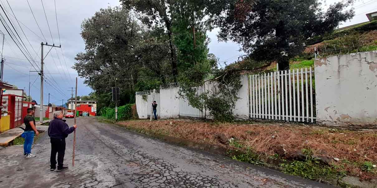 Grace dejó desgracias en 50 municipios de Puebla; Barbosa pidió ayuda a Obrador