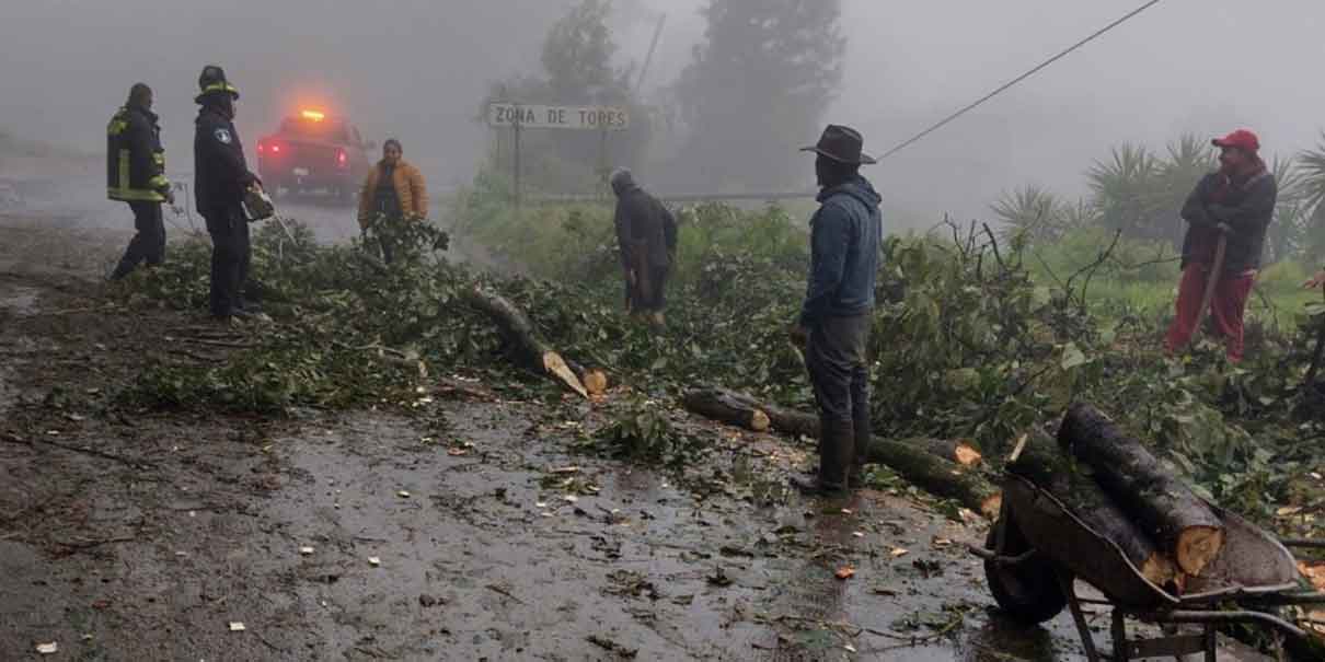 En la Sierra Norte, localidades de 15 municipios se quedan sin electricidad por Grace