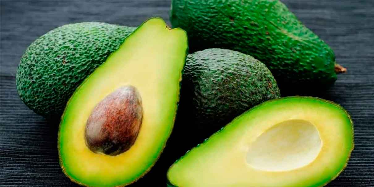 Auge de aguacate beneficia a agricultores mexicanos: Luis Doporto Alejandre