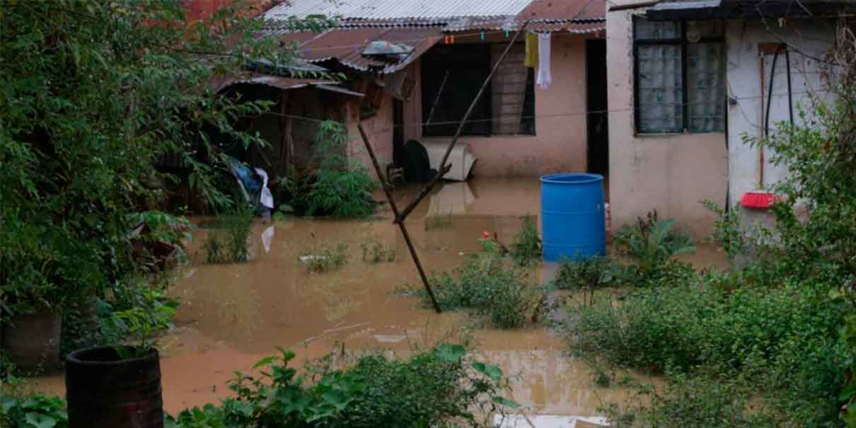 Aumentan daños en viviendas y cultivos en la Sierra Norte de Puebla por el paso de Grace