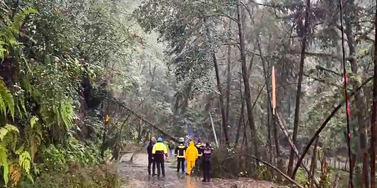 DECLARATORIA DE EMERGENCIA. Recursos federales a 55 municipios de Puebla por daños de Grace