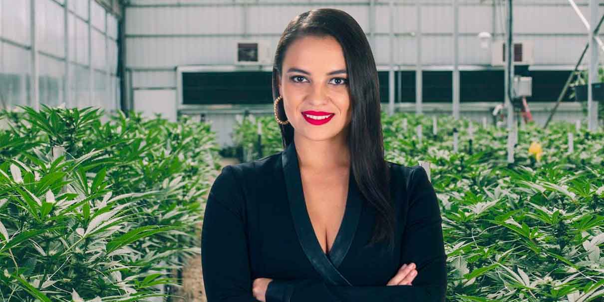 México, el mercado legal más grande del mundo para negocios de cannabis: CannabiSalud