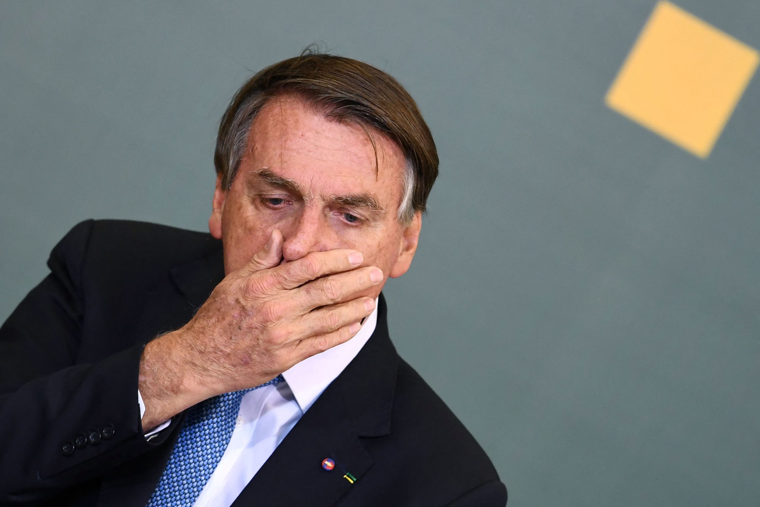 Brasil: demandan a presidente Bolsonaro ante Corte Internacional por deforestación de la Amazonia
