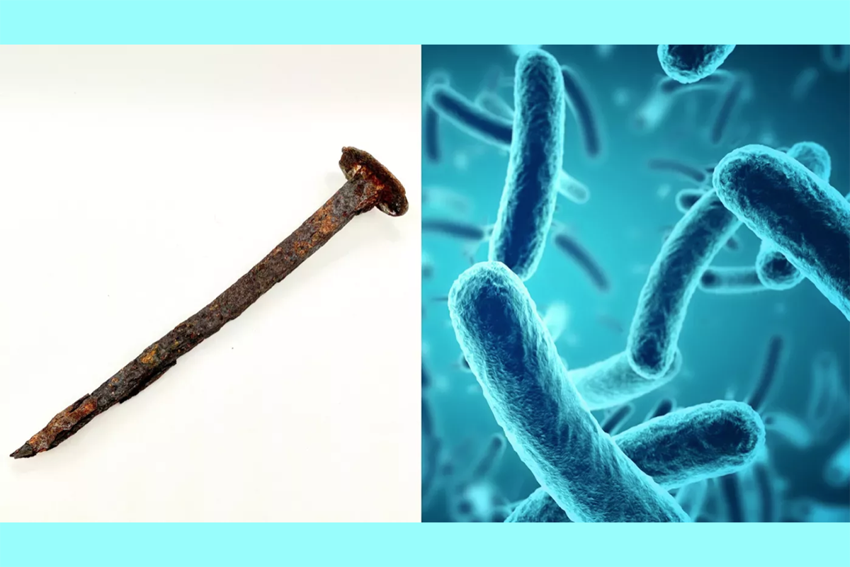 Leptospirillum: una bacteria que come metal y puede devorar un clavo en tres días