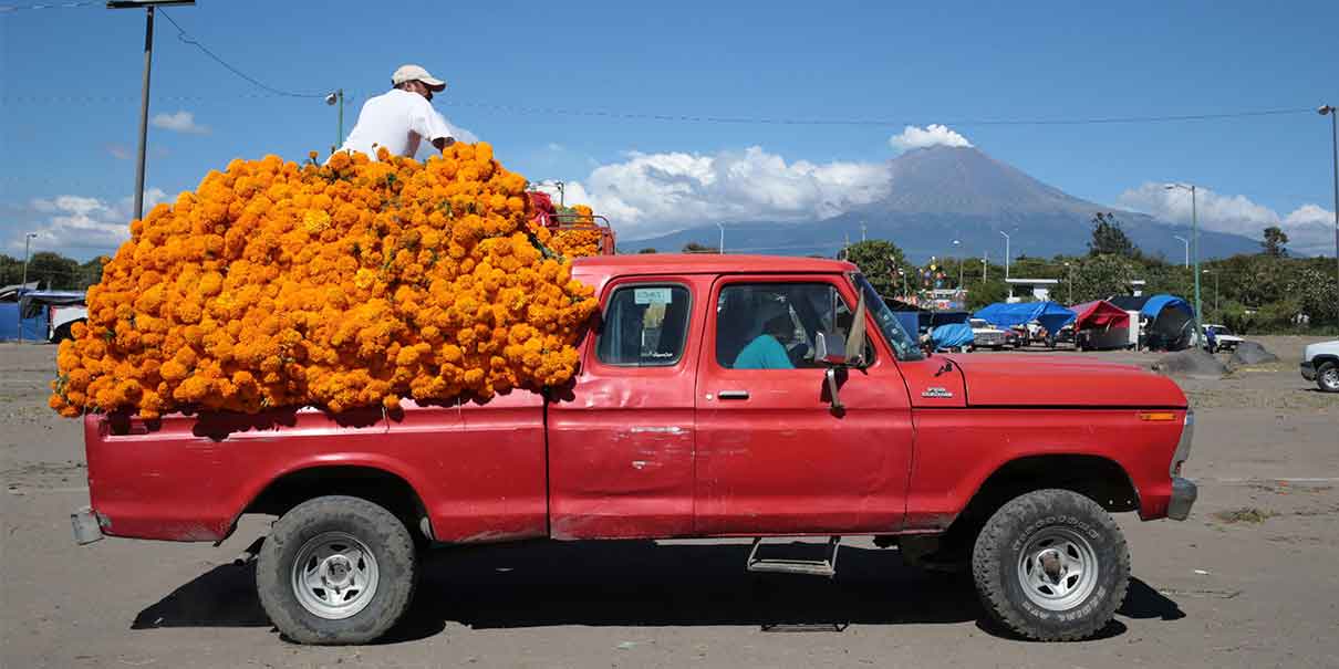En Puebla policías estatales extorsionan a compradores de flor que llegan a Atlixco