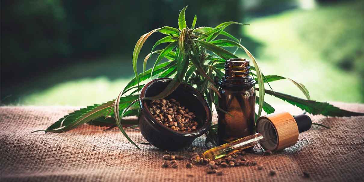 ¿Quieres invertir en cannabis? Este Congreso en Cancún te dice cómo hacerlo