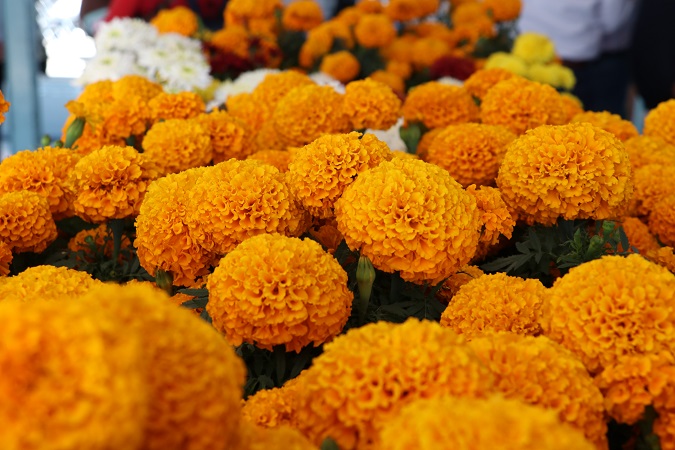 No tires tu flor de cempasúchil, dale otro uso