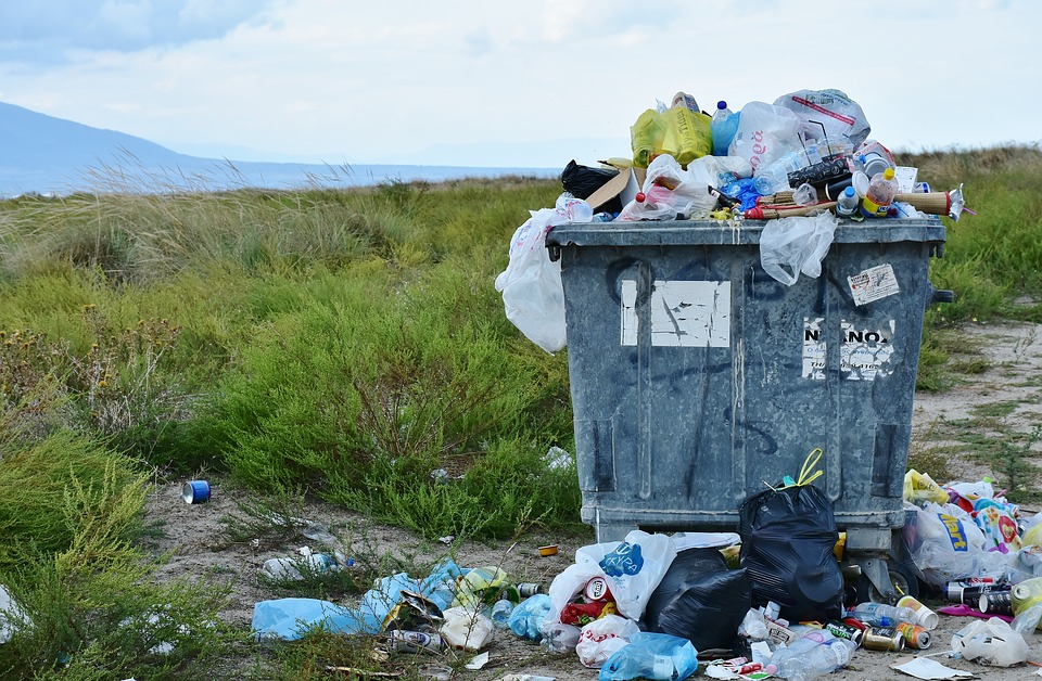 Aprueban prohibición de bolsas de plástico y desechables en el estado de Aguascalientes