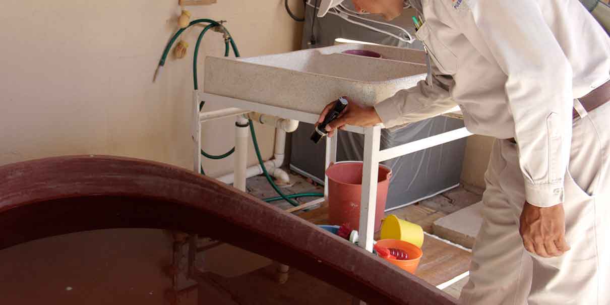 Puebla reporta primer muerto por dengue