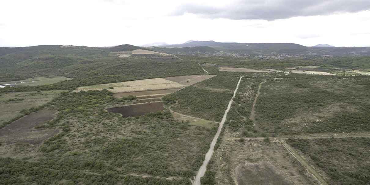 ejidatarios y pandemia