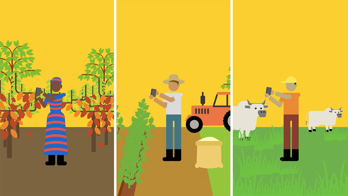 Aplicaciones que impulsan la adaptación climática hacia prácticas agrícolas sostenibles
