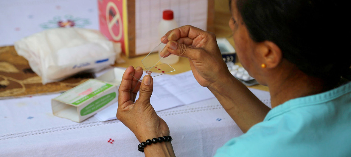 La malaria causó 69,000 muertes por interrupción de servicios de salud por covid-19