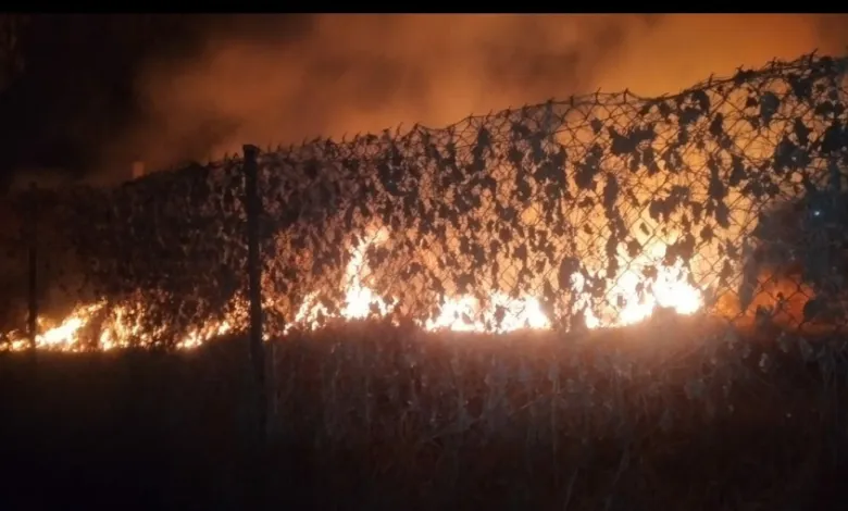 Suman 37 incendios forestales en 2022, en Hidalgo