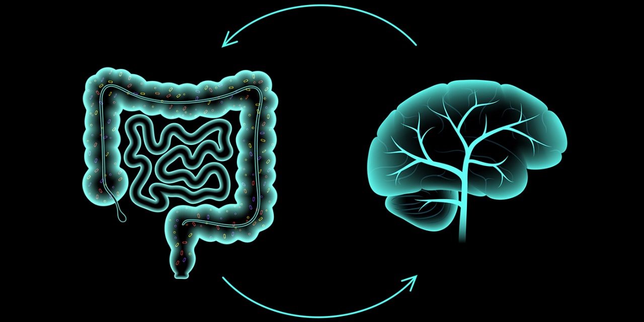 El segundo cerebro, el verdadero responsable de la salud