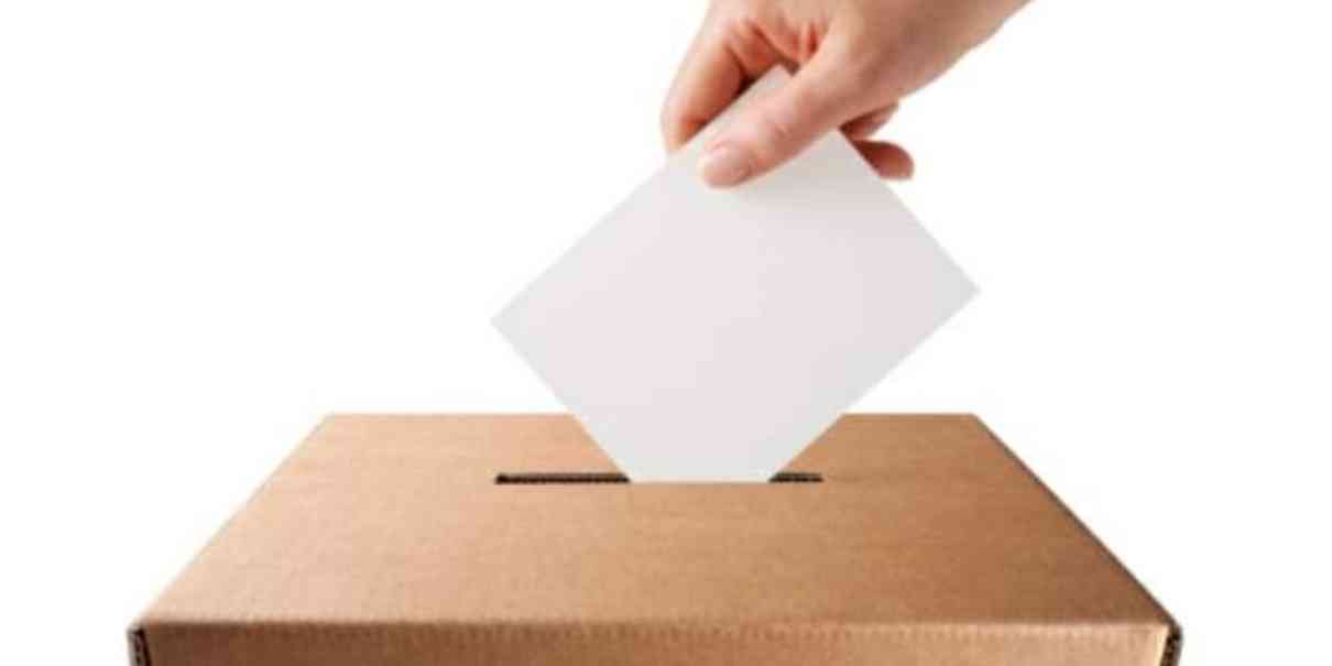 elecciones Quintana Roo y Tamaulipas