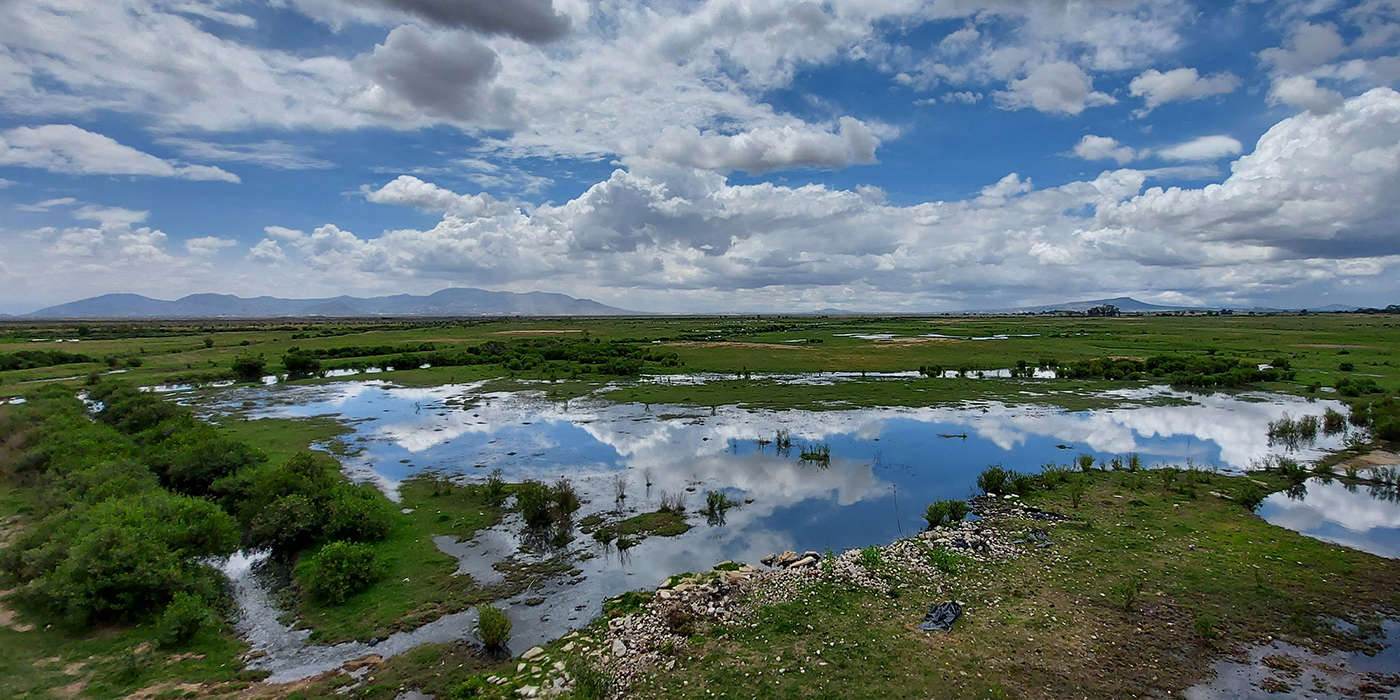 Lago de Texcoco