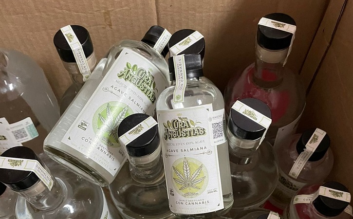 Asegura ISSEA botellas de mezcal con cannabis en Aguascalientes