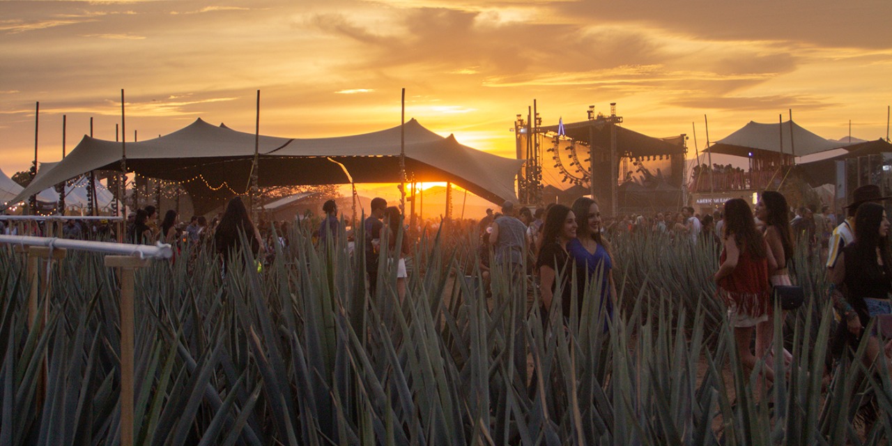 Festival Akamba: una experiencia musical y tequilera que no te puedes perder