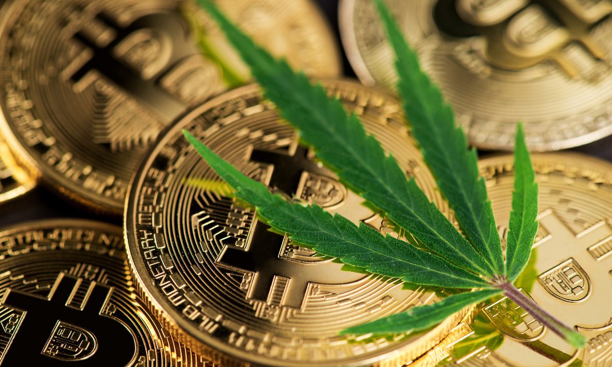 criptomonedas
