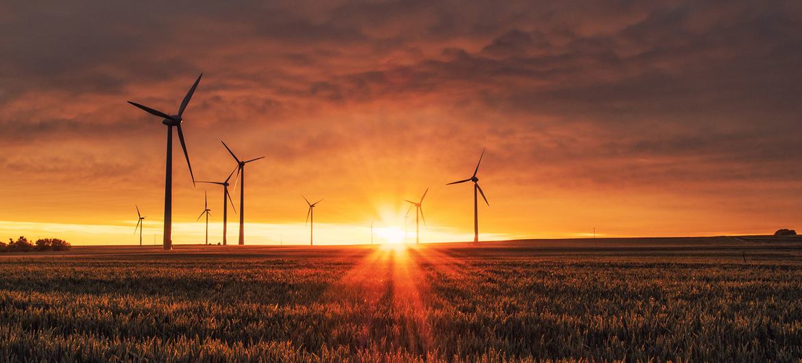 El cambio climático volvió a batir récords por tierra, mar y aire: OMM