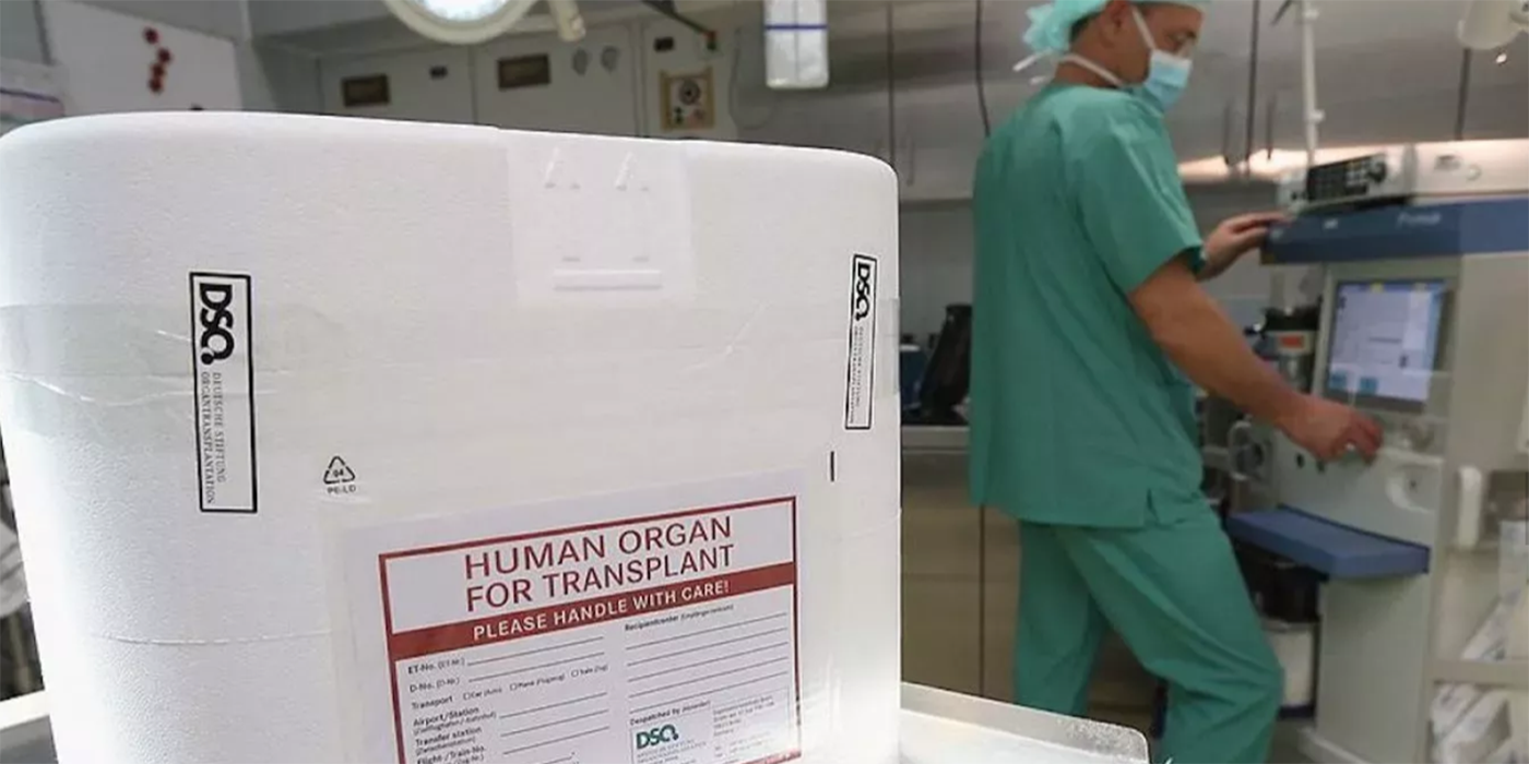 Hígado humano es mantenido vivo tres días antes de ser trasplantado