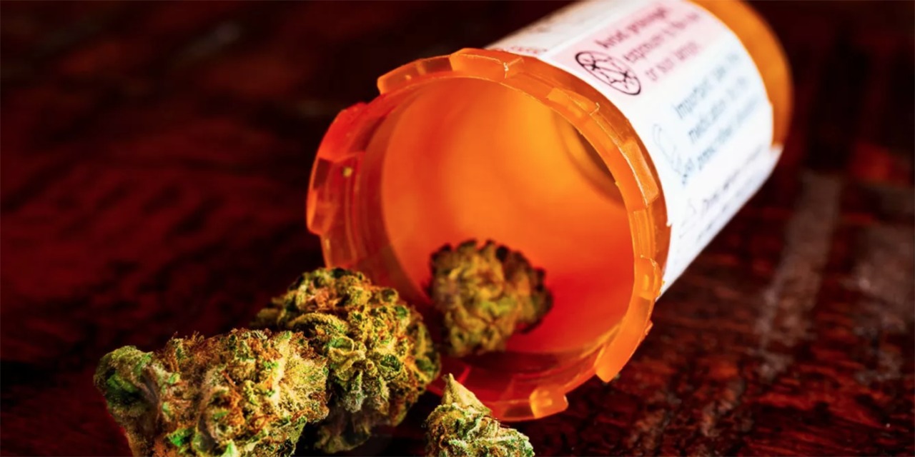 cannabis
