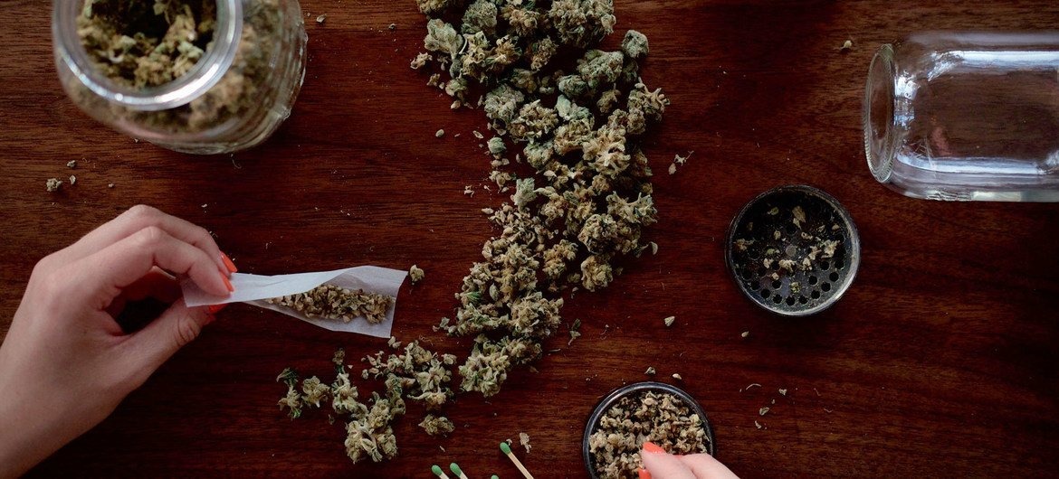 cannabis