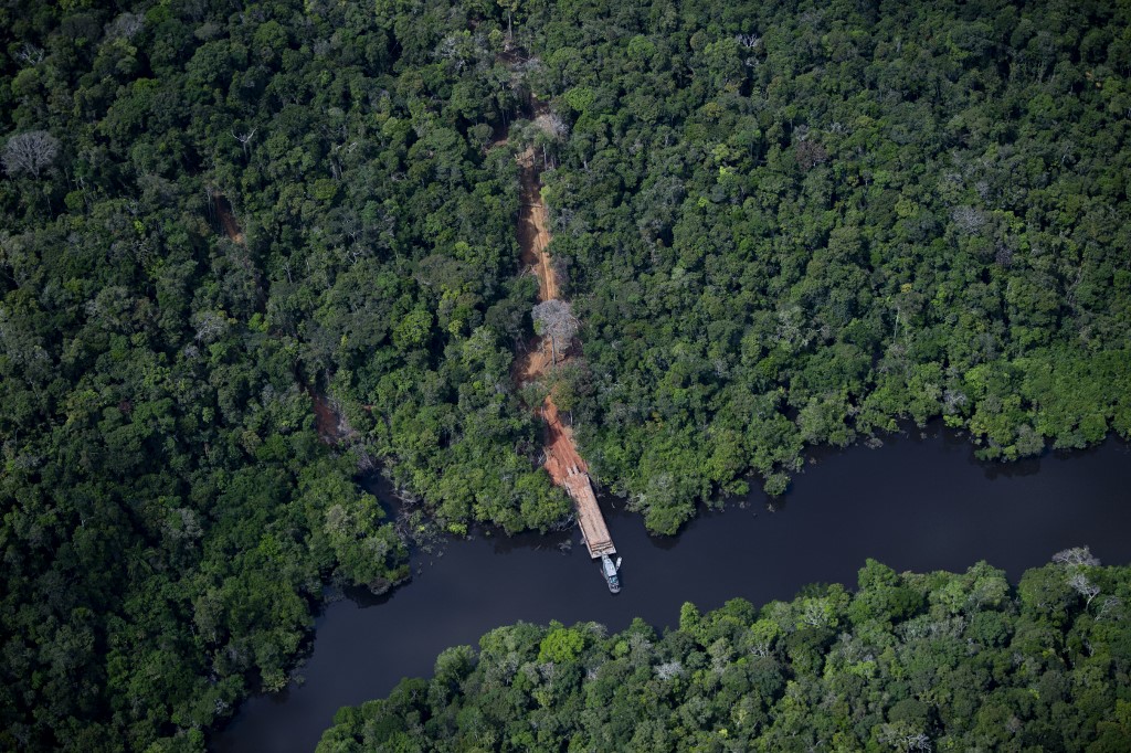 La Amazonia Brasileña perdió 18 árboles por segundo en 2021: informe