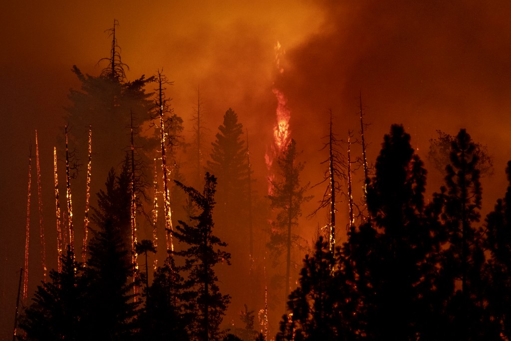 EUA: incendio en California deja miles de evacuados y más de 6,000 hectáreas quemadas