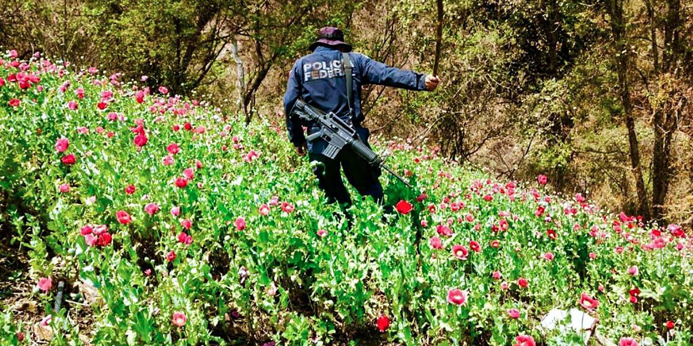 Cómo las drogas nos llevaron de una república a un narcoestado, parte 2