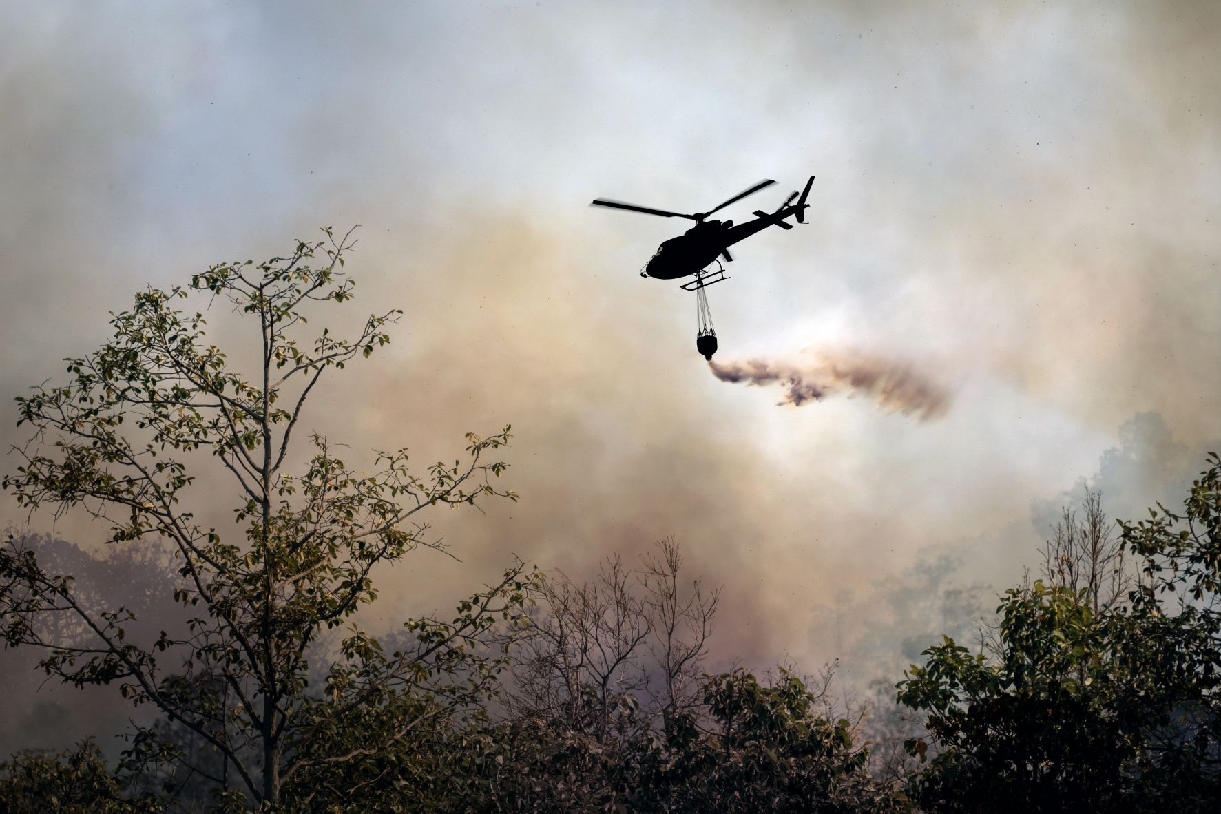 Corea del Sur Fuego