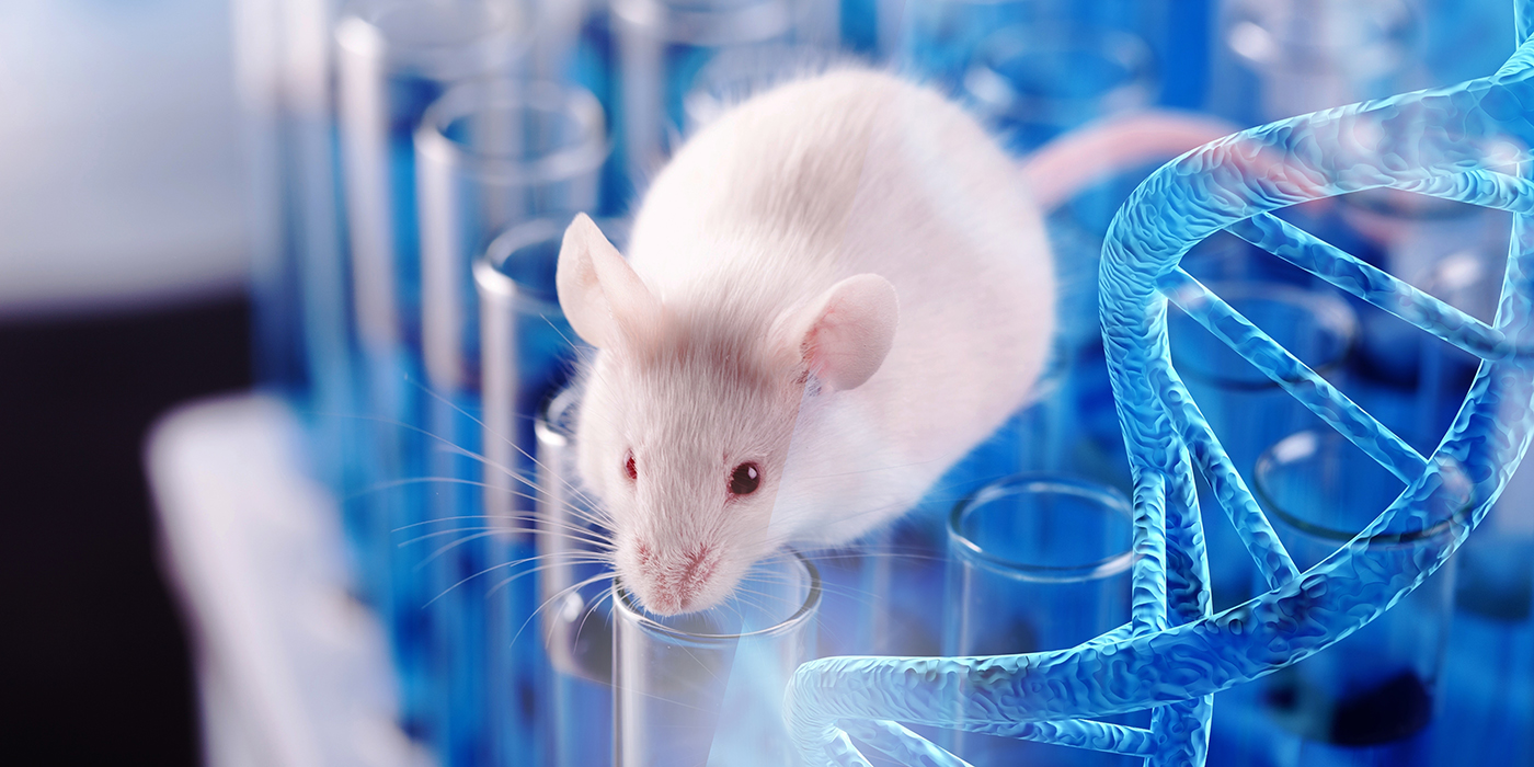 Ratones liofilizados: qué son y por qué tienen tanta importancia para la ciencia