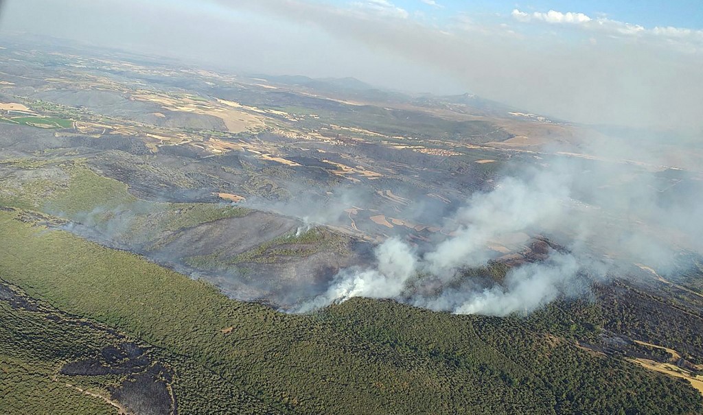 Cambio climático incendios forestales