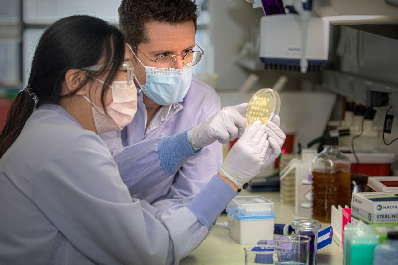 Nuevo método detecta microbios intestinales que contribuyen al cáncer y a la obesidad