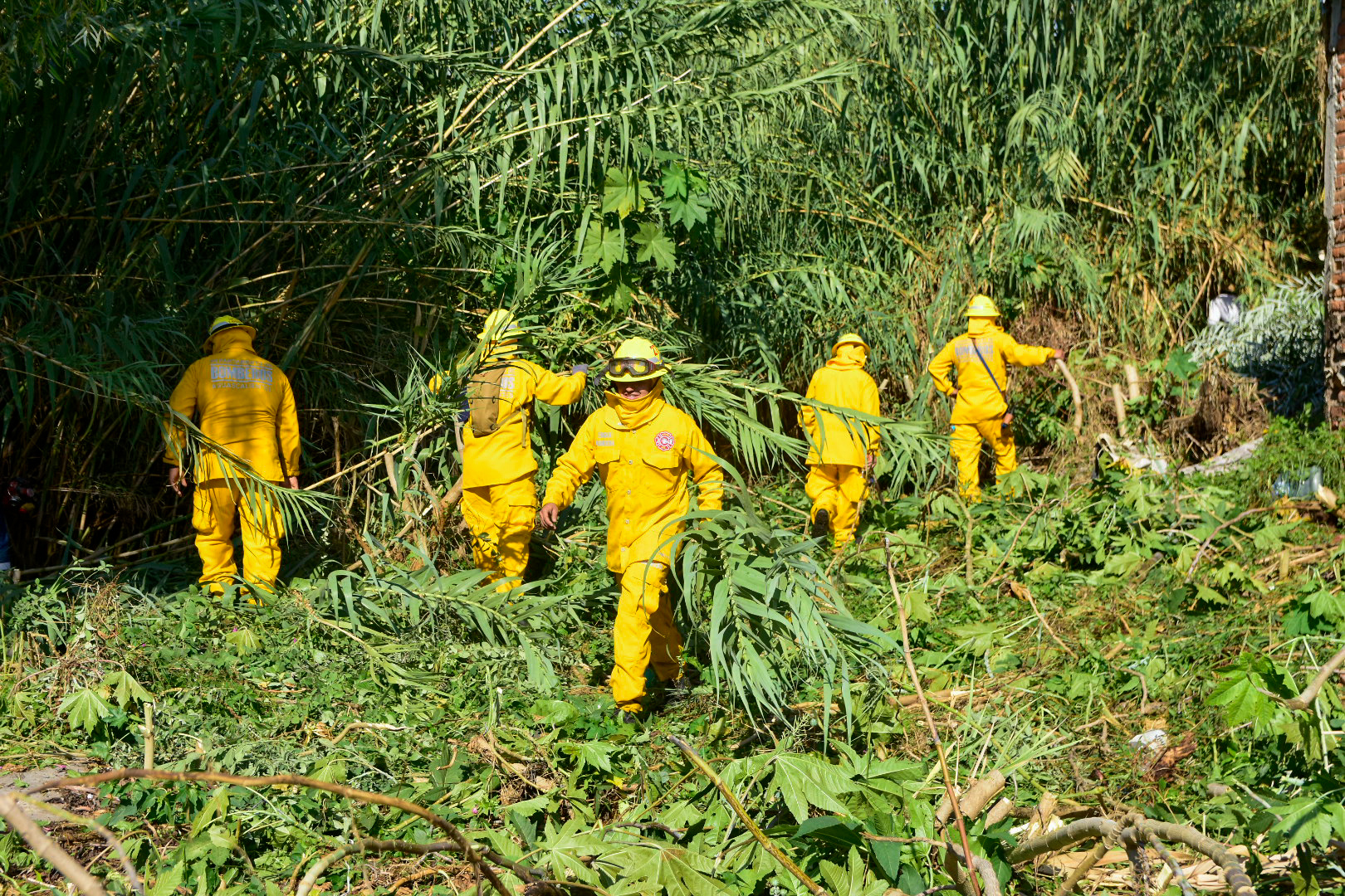 Realizan mega operativo de limpieza en el arroyo El Cedazo