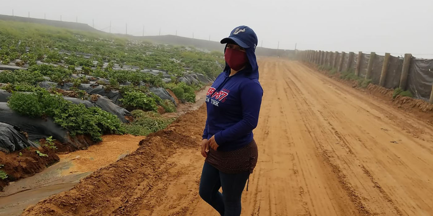&#8216;Muchas mujeres dan a luz en medio de los surcos de siembra&#8217;